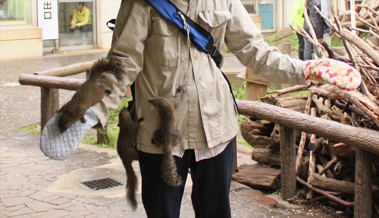 EOSKissX3_2010_05_29_02154.jpg(374304 byte)