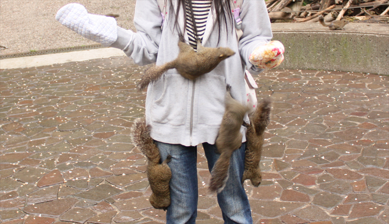 EOSKissX3_2010_05_29_02267.jpg(399716 byte)
